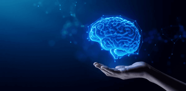 AI Implementation